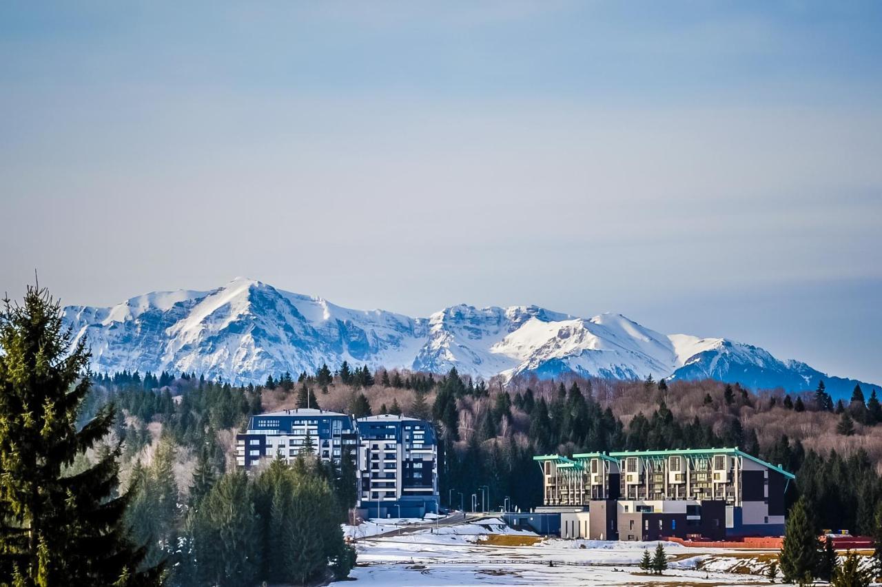 Art Gallery Apartment In Silver Mountain 포이아나브라소프 외부 사진